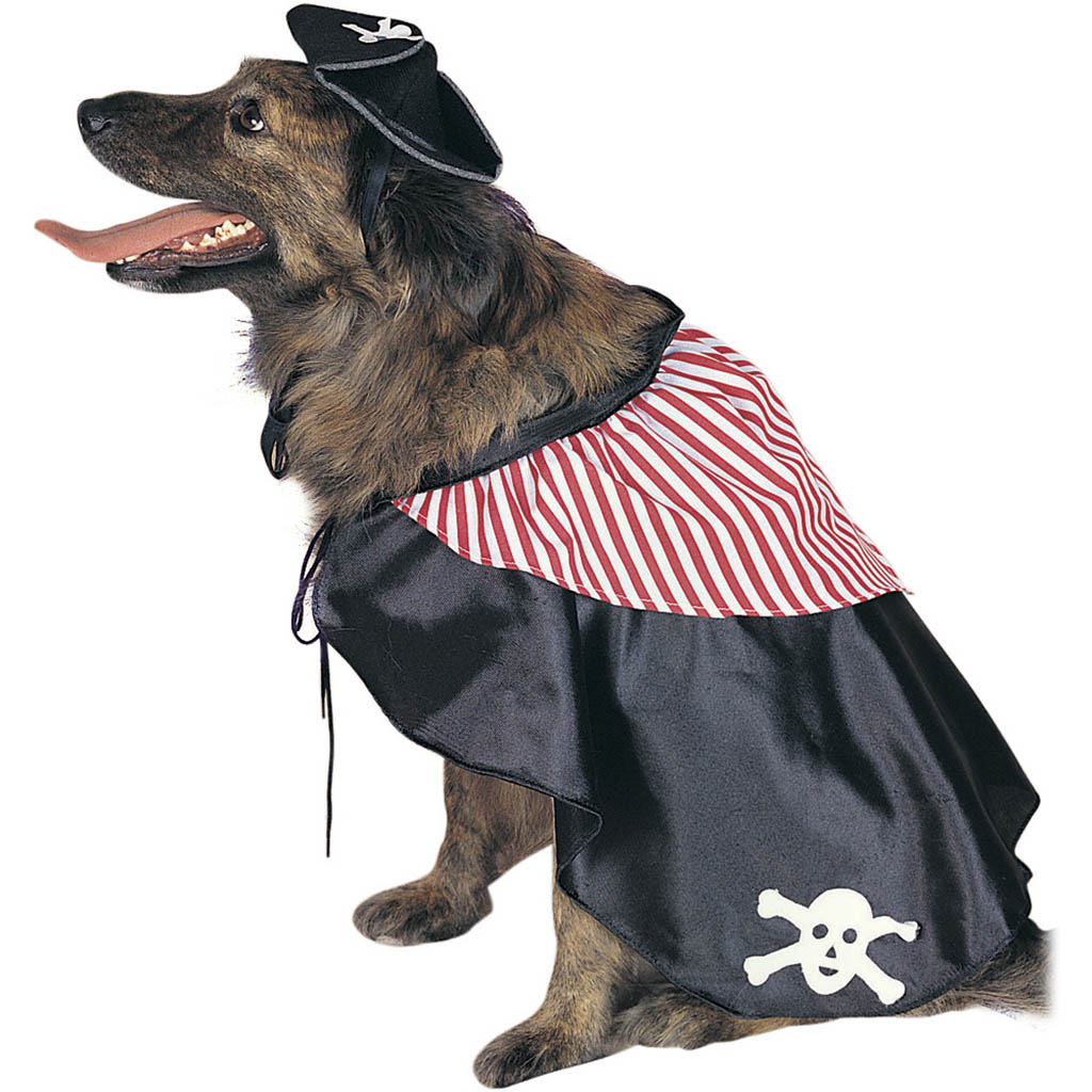 Dog Pirate Costume - Creative Minds